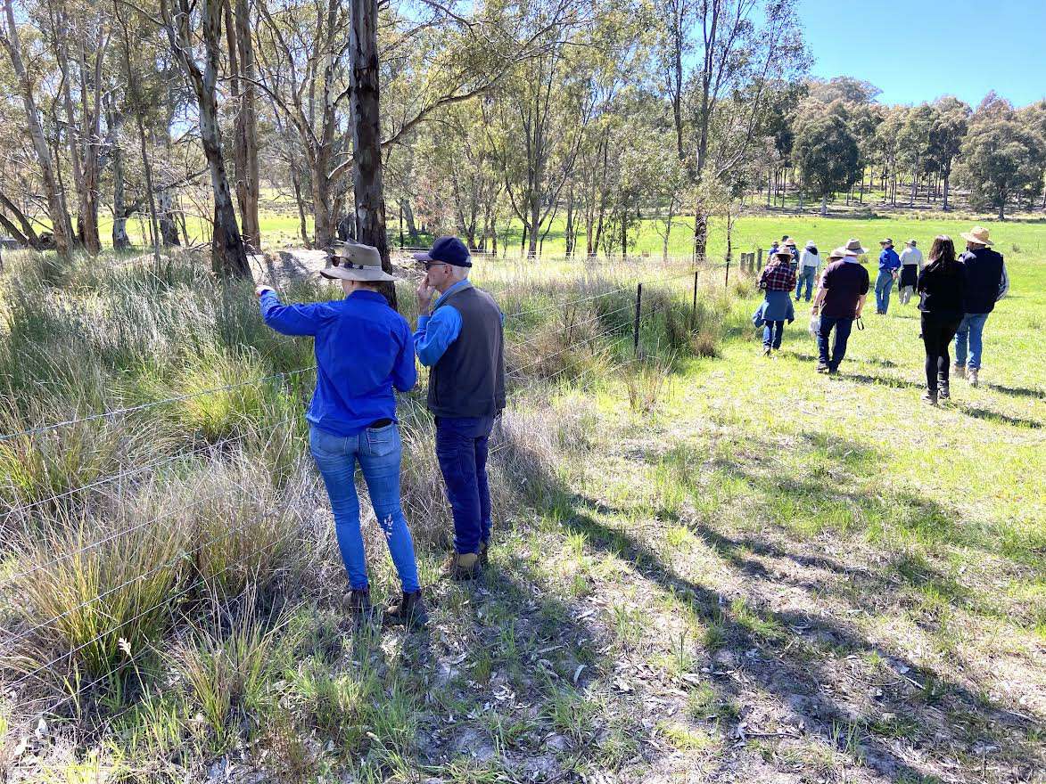 Gecko Clan Landcare Network team
